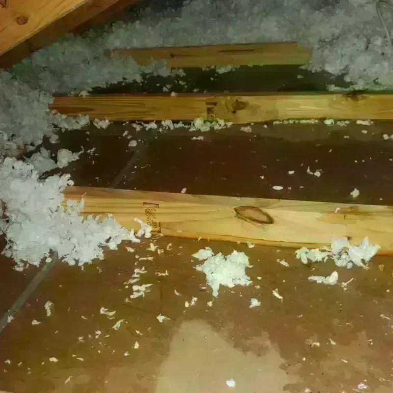 Attic Water Damage in Bement, IL